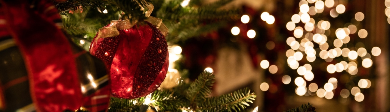 Christmas Decorations and Selling your house…