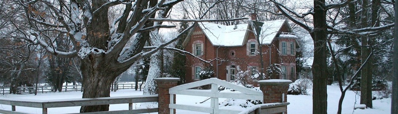 Winter property care